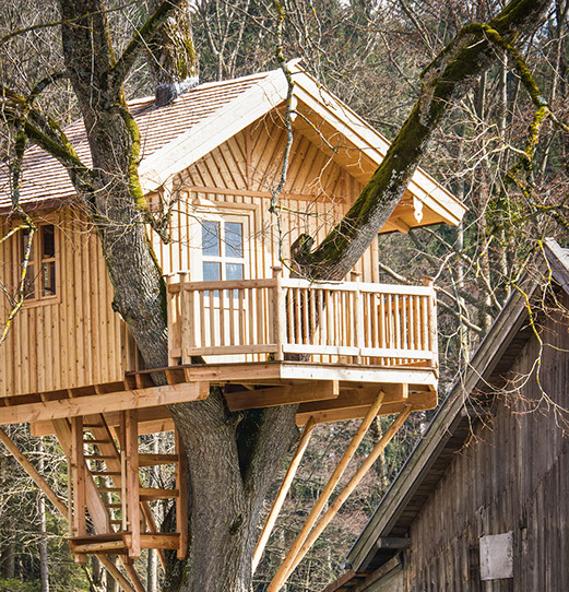 pressure-treated-lumber